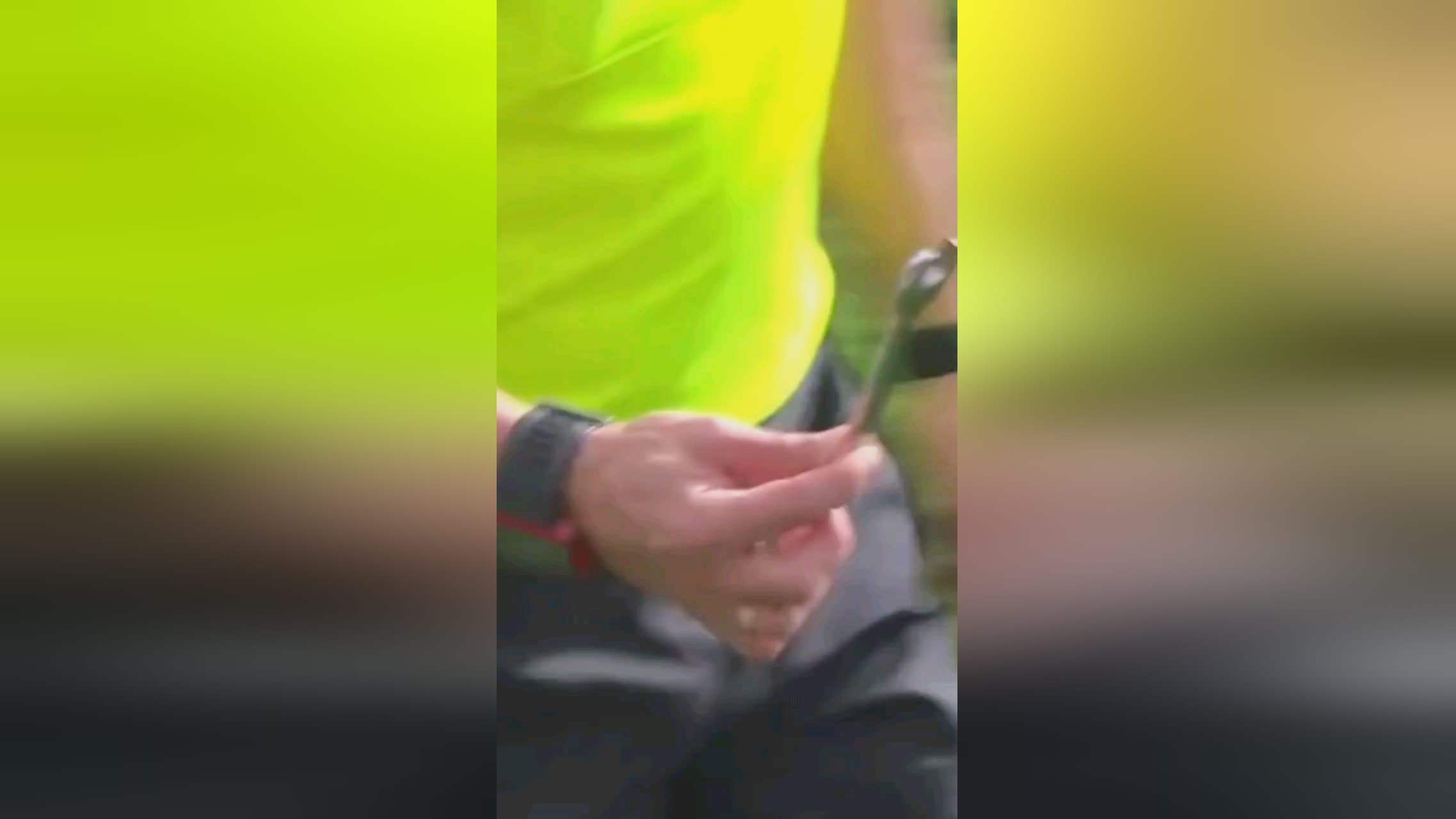 迫给了